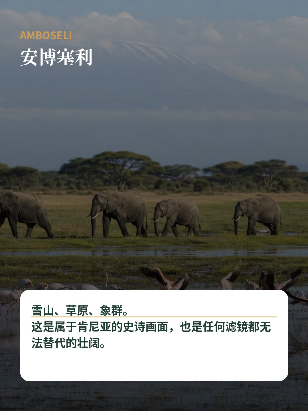 马赛马拉国家保护区